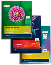 Cover Il Campbell