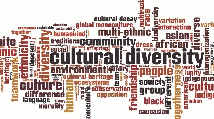 A School for any and every one: Diversity and Inclusion as a Practice in the Classroom