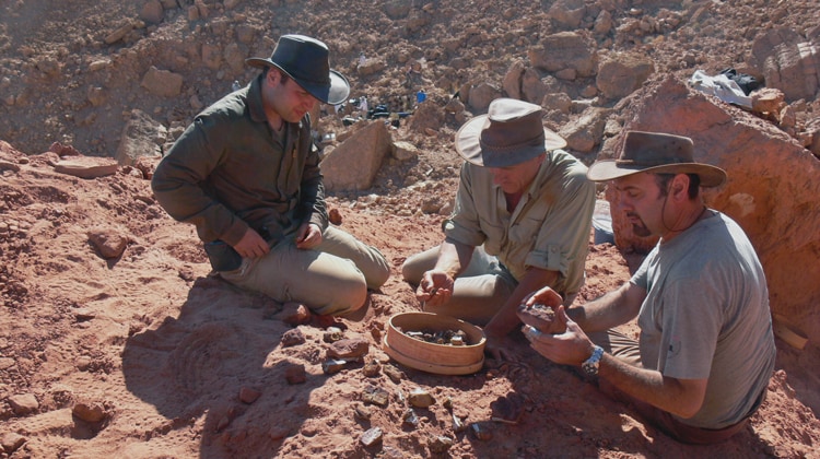 Il paleontologo moderno trascorre la propria vita professionale tra studio e attività sul campo