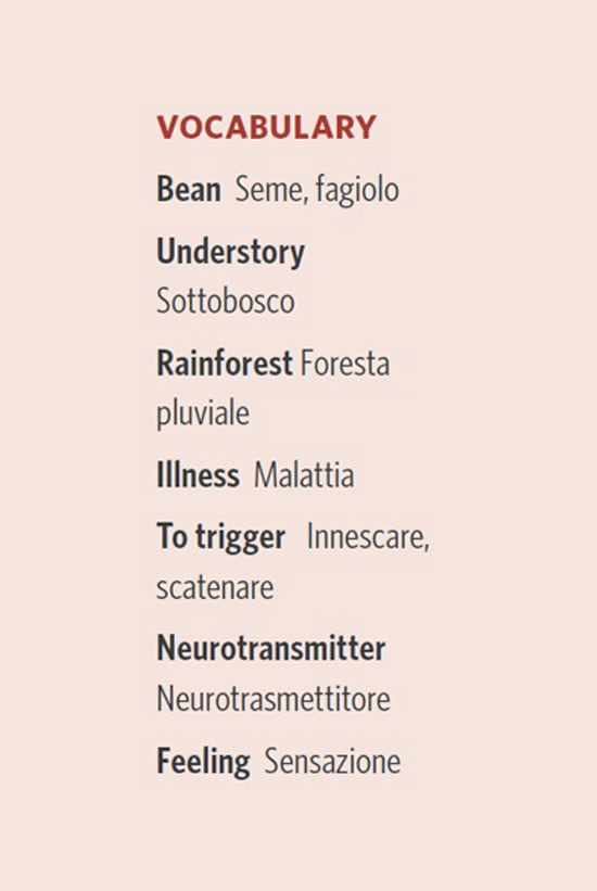 chocholate-vocabulary